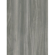 Blat R 4595 / R 48005 XM "C" #38 „120” Glamour Wood Jasny